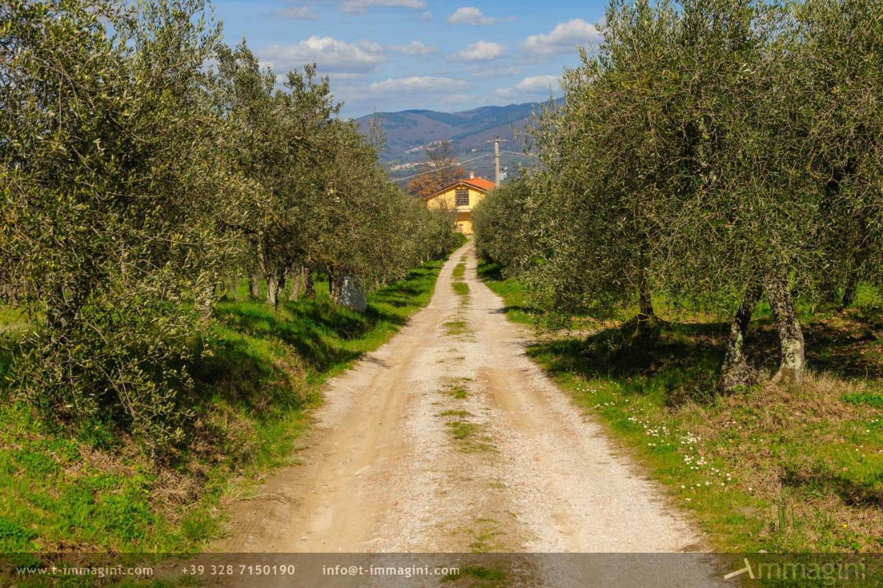 Bioagriturismo Poderaccio Incisa in Val d'Arno Екстериор снимка