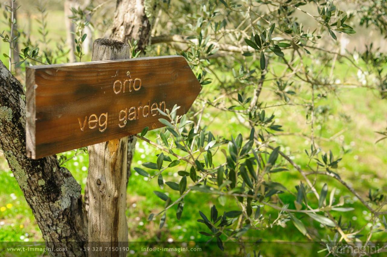 Bioagriturismo Poderaccio Incisa in Val d'Arno Екстериор снимка